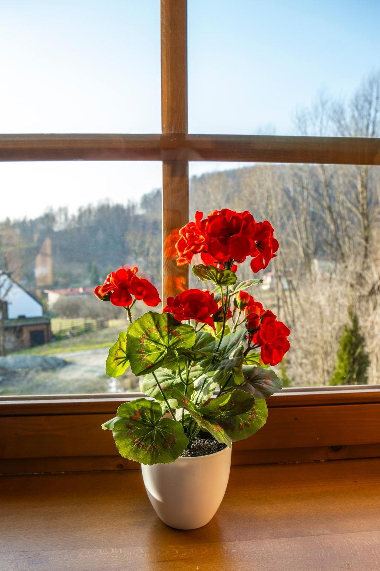Jaworowa Osada Villa Brenna Buitenkant foto